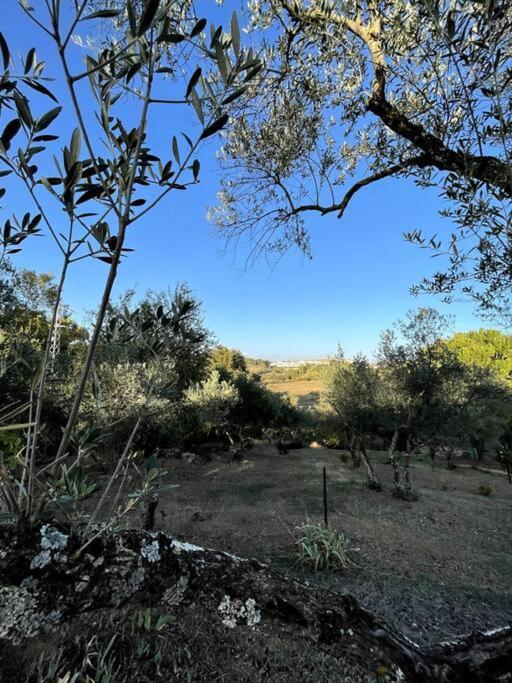 Villa Maria, Casa Rural En Cazalla De La Sierra. Dış mekan fotoğraf